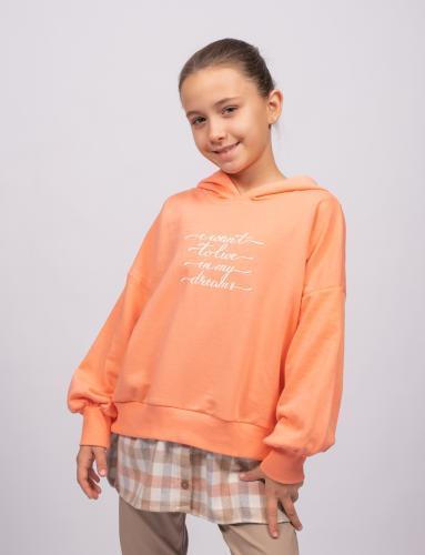 20160106-DSCF6156 20160106-DSCF6156