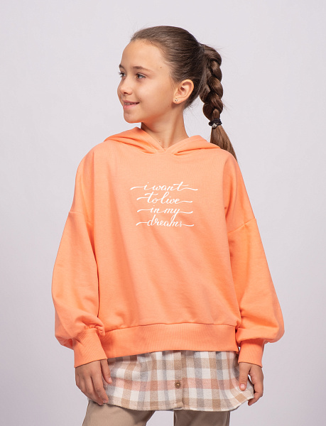 20160106-DSCF6156 20160106-DSCF6156