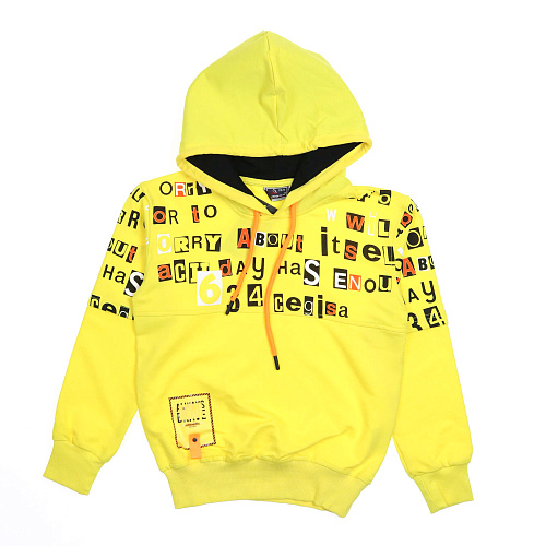 CEGISA 1043 Худи фото