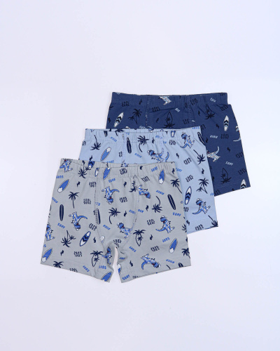 BAYKAR Боксеры 3692/3 фото