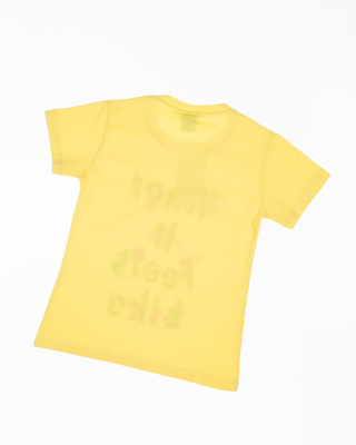 2023_06_01_0074668 2023_06_01_0074668